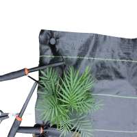 100% HDPE Greenhouse Black Weed Mat Supplier