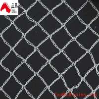 Agriculture net Anti bird netting 100% Virgin HDPE+UV 30-90GSM 30% -60% Shade rate protect plant &flower from insect