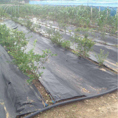 Anti uv Plastic Agricultural Woven PP anti Weed Control Mat