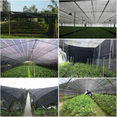 100% Virgin HDPE bird Netting/protection net /Antihail net