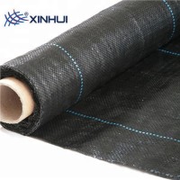 China Hot Sale Agricultural Woven PP Weed Control Mat